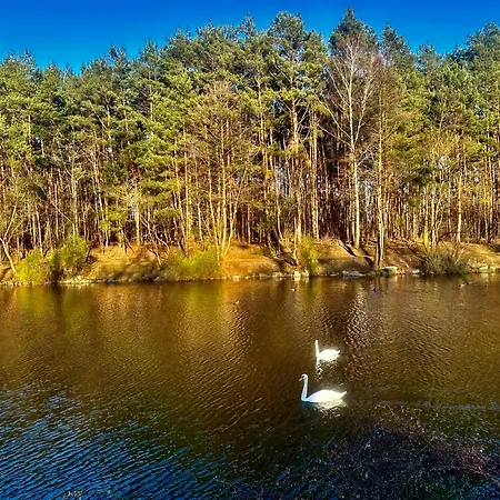 Apartament Izabelinska, Gabinet Kosmetyczny Na Miejscu Stanislawow Pierwszy (Masovia)