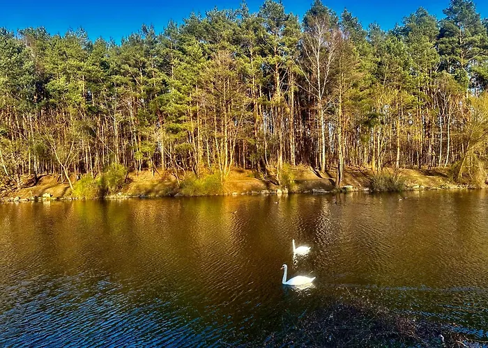 Daire Mieszkania Od 32-55m, Pelne Wyposazenie, Gabinet Kosmetyczny Na Miejscu Stanislawow Pierwszy (Masovia)